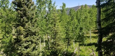View From Master Bedroom