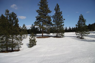 7 E Buttermilk Creek Rd, Twisp, WA 98856 - photo 5