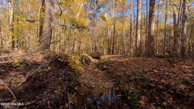 0 N Carolina 903, Littleton, NC 27850 - photo 2