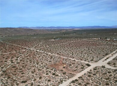 6227 Cottonwood Dr, Joshua Tree, CA 92252 - photo 4