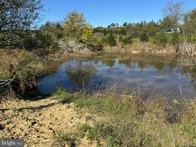 0 Forman Rd, Lahmansville, WV 26731 - photo 5