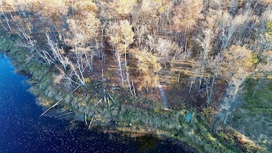 TBD NW Turtle Ln, Walker, MN 56484 - photo 3