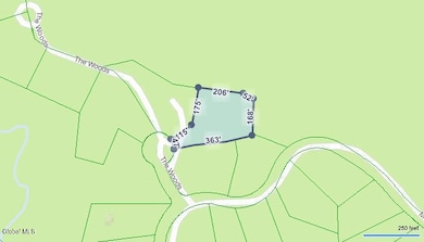 12 The Woods, North Creek, NY 12853 - photo 3