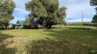 View of grassy yard