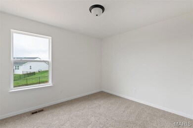 Empty room with baseboards and carpet floors