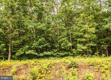 0 Fable Rd unit WVBE2020220, Hedgesville, WV 25427 - photo 6