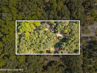 00 Bear Trail, West Canaveral Groves, FL 32926 - photo 4