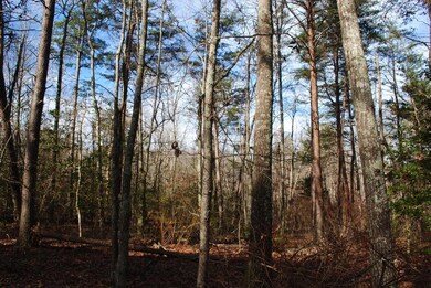 DSC_0298 (1024x685)