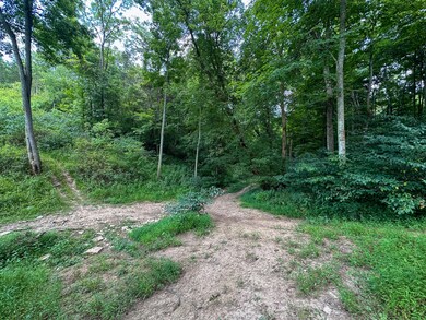 0 Goose Creek Rd, Carlisle, KY 40311 - photo 7