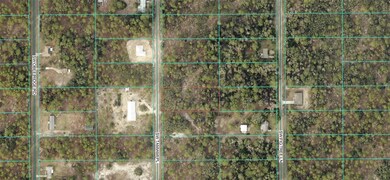 0 TBD SW Tamiami Place, Rainbow Lakes Estates, FL 34431 - photo 2