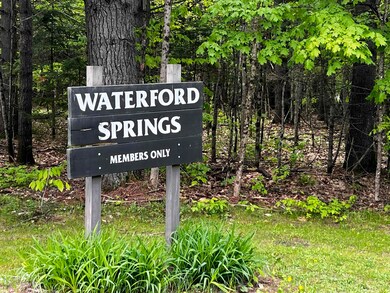 3945 Lower Waterford Rd unit Lot C-9 & C-10, Waterford, VT 05819 - photo 5