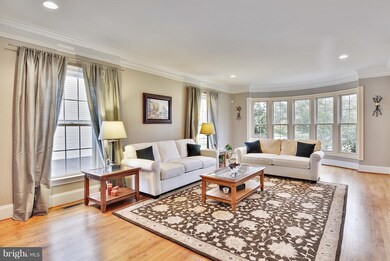 21793 Iannis Spring Dr, Ashburn, VA 20148 - photo 6