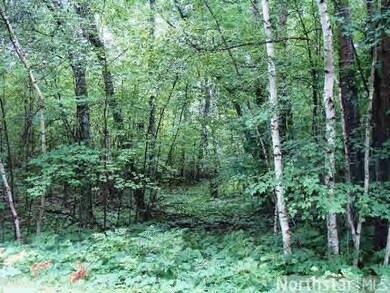 0 Spotted Fawn Rd unit 4591528, Danbury, WI 54830 - photo 2