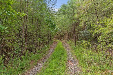 Tract 1 Conniston Rd, Chatsworth, GA 30705 - photo 4