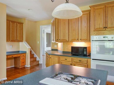 21532 Chickacoan Trail Dr, Broadlands, VA 20148 - photo 6