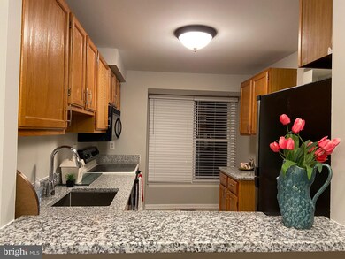 11933 Redtree Way, Reston, VA 20194 - photo 7