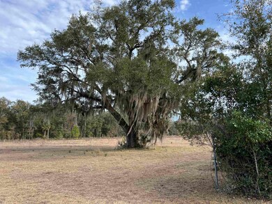 152 Alaska Brown Rd, Crawfordville, FL 32327 - photo 4