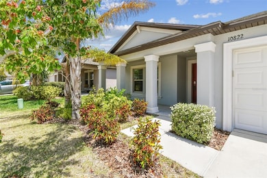 10822 Crushed Grape Dr, Riverview, FL 33578 - photo 6