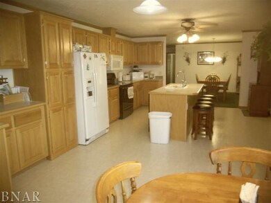800 York St, Chenoa, IL 61726 - photo 4