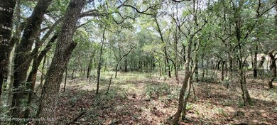 Lot Interior