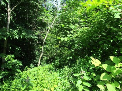 Land/Lot