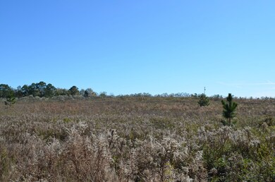 143 Causey Rd, Doerun, GA 31744 - photo 5