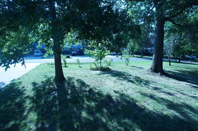 View of front yard