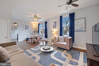 3809 Coolidge Ave, Baltimore, MD 21229 - photo 5