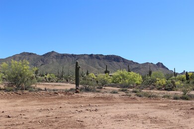 2518 N Mountain Rd, Mesa, AZ 85207 - photo 6