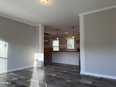 282 Race Track Rd, Rogersville, TN 37857 - photo 5