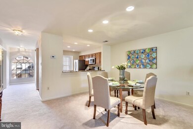 5718 Mayfair Manor Dr unit 101, North Bethesda, MD 20852 - photo 7