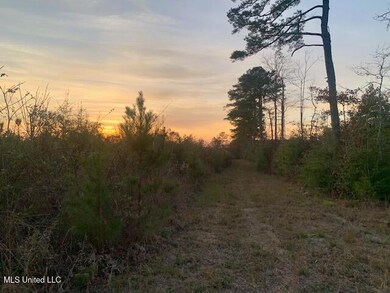 1906 Wildwood Ln SE, Ruth, MS 39662 - photo 4