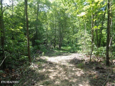 0 Ditney Trail unit 3 1303567, Pioneer, TN 37847 - photo 6