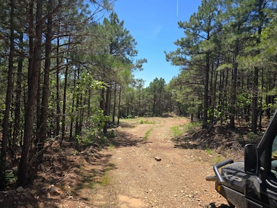 TR 18&19 Long Creek Pass, Albion, OK 74571 - photo 5