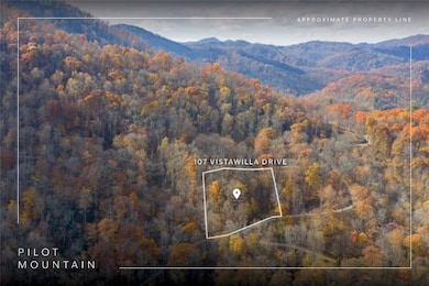 107 Vistawilla Dr, Glenville, NC 28736 - photo 3