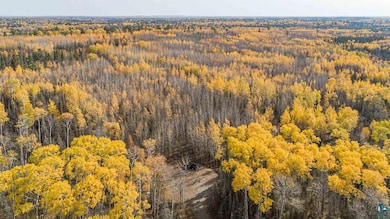 tbd Labrec Klein Trail, Ely, MN 55731 - photo 6