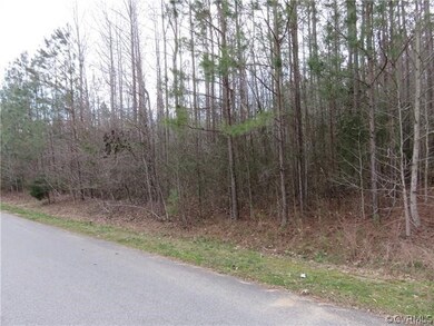 7001 Iden Place, Quinton, VA 23141 - photo 4