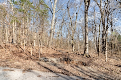 1009 Scramblers Knob, Franklin, TN 37069 - photo 3