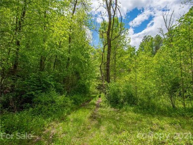 Small clearing on the property.