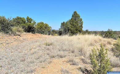 Lot 12 Hereford Dr, Silver City, NM 88061 - photo 7