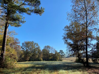 2415 Fm 698, Nacogdoches, TX 75964 - photo 5