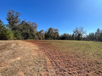 Al-10, Shorterville, AL 36373 - photo 7