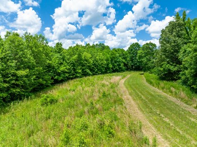 0 Kelly's Landing Rd unit RTC2395870, Linden, TN 37096 - photo 5