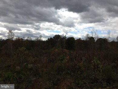 0 Governors Point Ln unit 1004628938, Unionville, VA 22567 - photo 6