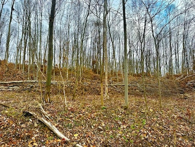 560 Landrum Rd, Bainbridge, OH 45612 - photo 2