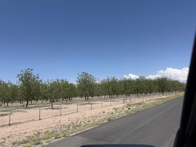 449 E 11th St, Lake Arthur, NM 88253 - photo 2