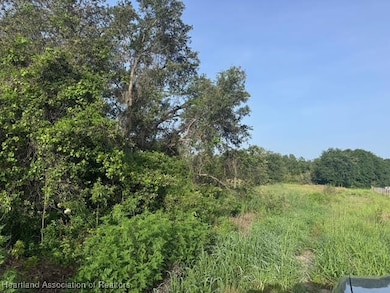 7710 Lake Buffum Rd N, Fort Meade, FL 33841 - photo 2