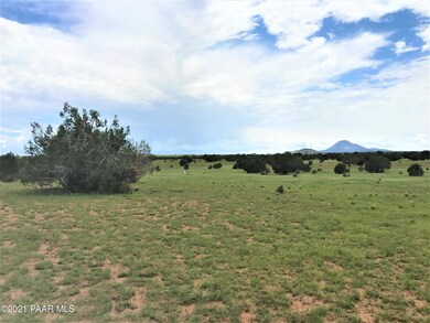 111 Gleed Station Rd, Ash Fork, AZ 86320 - photo 4
