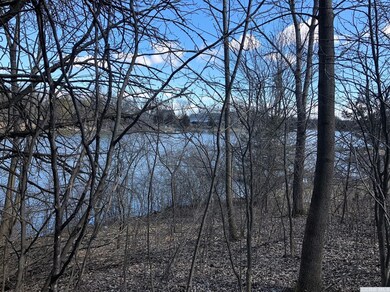 0 - Lot 176 Longwood Dr, Athens, NY 12015 - photo 7