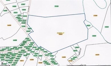 2480 Reepsville Rd, Lincolnton, NC 28092 - photo 3